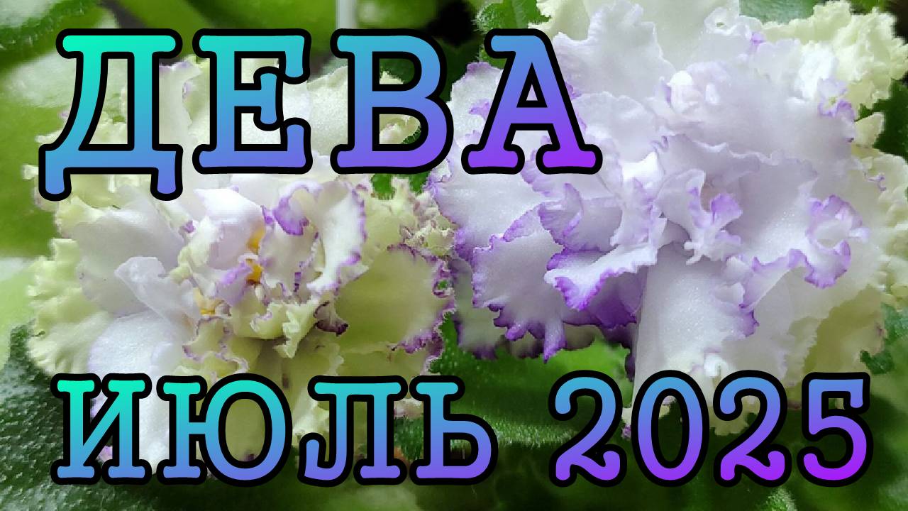 ДЕВА таро прогноз на ИЮЛЬ 2025 года.