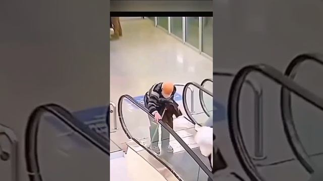 песня жизнь играет с нами яркими огнями