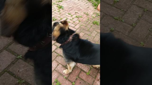 1000055267.mp4