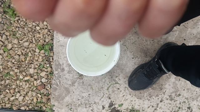 рыбалка в пруду