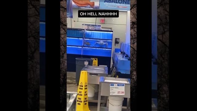 Подборка странных неизвестных животных, найденных в разных уголках мира