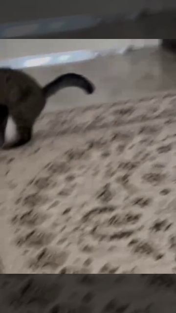 1000015994.mp4