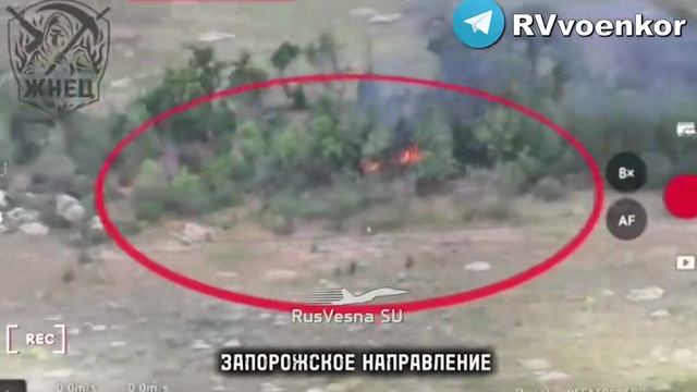 🇷🇺🔥🇺🇦 Спецназ«ЖНЕЦ»сжигает позиции с боевиками ВСУ и обращает врага в бегство на Запорожском