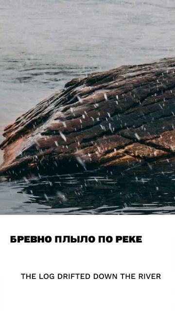 Бревно