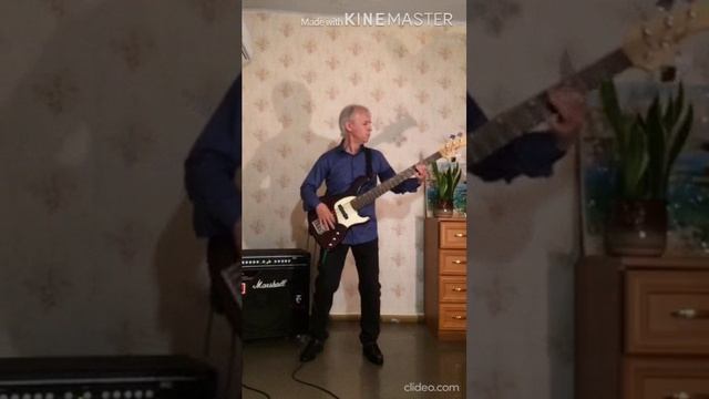 Spice Girls - Get Down With Me (Bass cover)