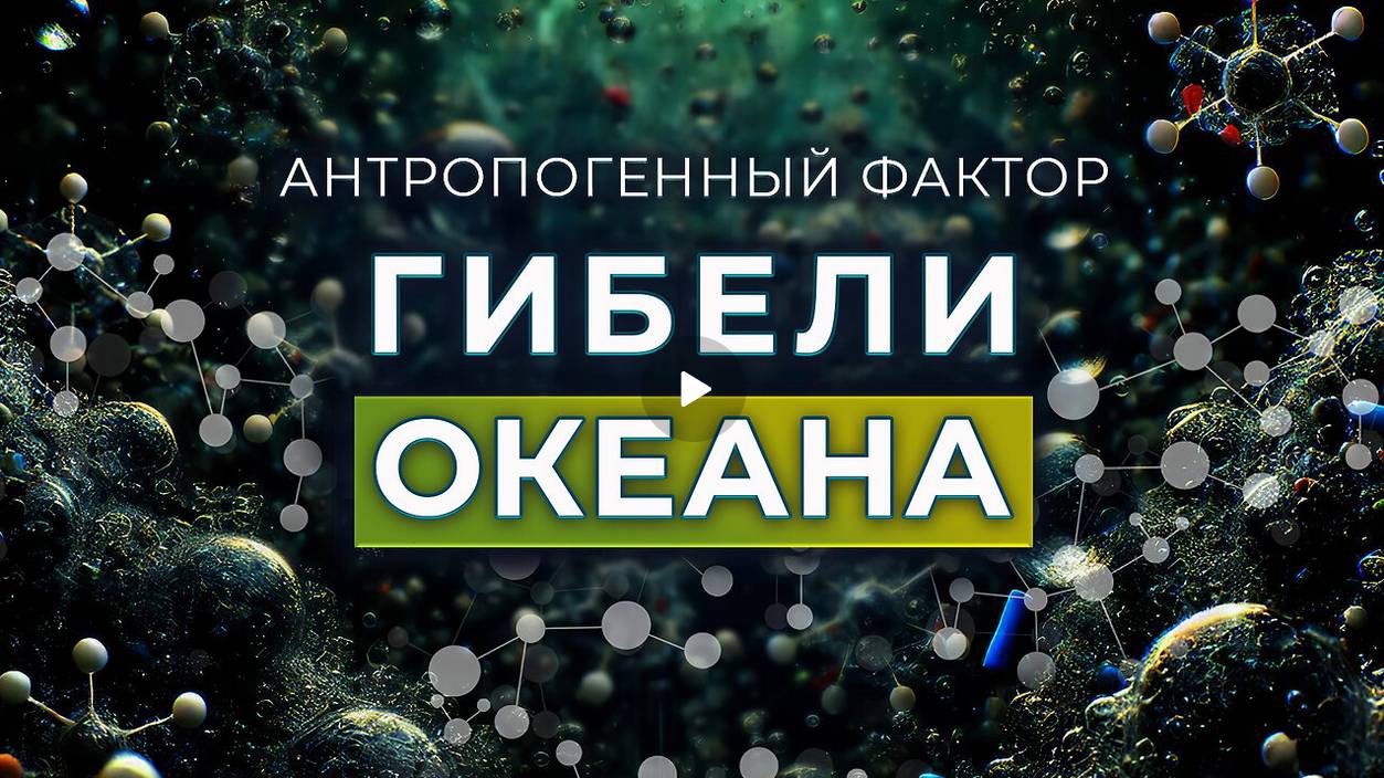 Антропогенный Фактор Гибели Океана - Функции Океана
