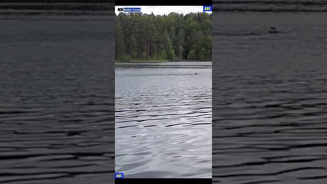 Обычный воскресный лесной фитнес 22.06.2025 (4К) #юныйпрадедбодрыйдед