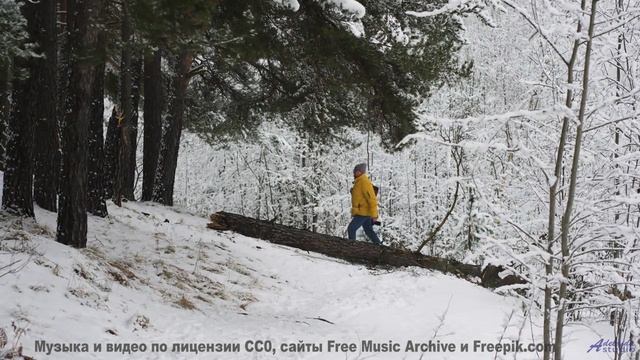 Звуки, управляющие временем - фантастика или наука - Blood (Instrumental) -- Anthem of Rain -- Freed