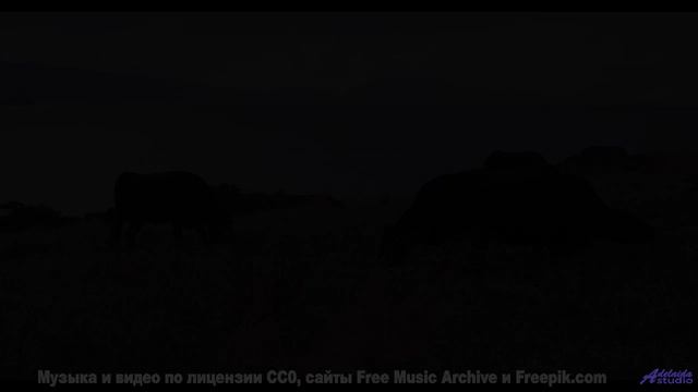 Ты будешь благодарить меня за то, что показал тебе это! - Strung-Low -- Ketsa -- The Lost Files