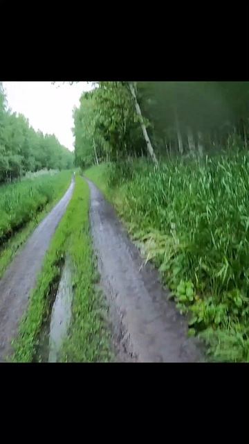 " Хотел догнать - Зайца "
