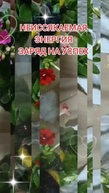 Шмель
