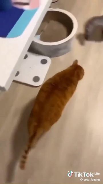 1000000428.mp4