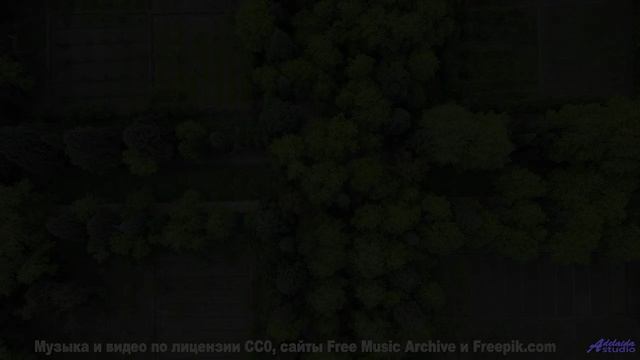 Музыка растекается по телу быстрее любого напитка - Climbing The Mountain -- Podington Bear -- Meet