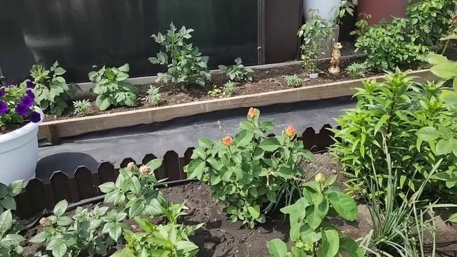 ВСЕ, Я так больше НЕ МОГУ😱это какой-то УЖАС😏МЕНЯ выселяют из ДОМА🙏