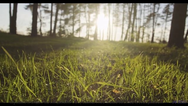 Эти виды и звуки вскружат голову - Lowest Face -- Derek Clegg -- Man on the Run