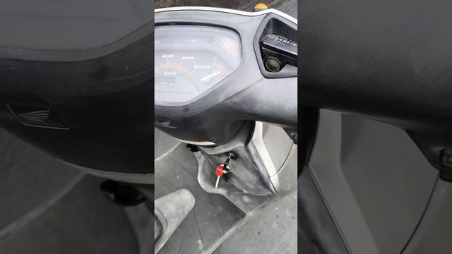 1000012566.mp4