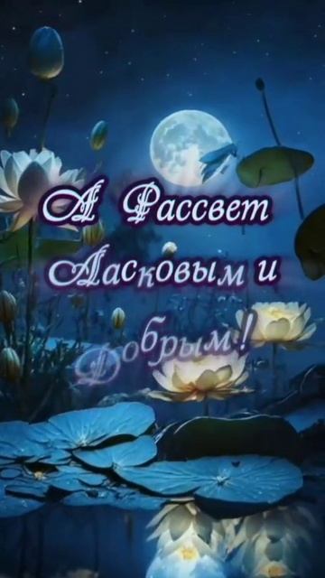 доброй ночи сладких снов
