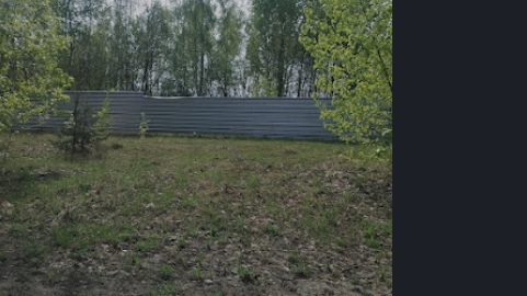 Дрессировка человека