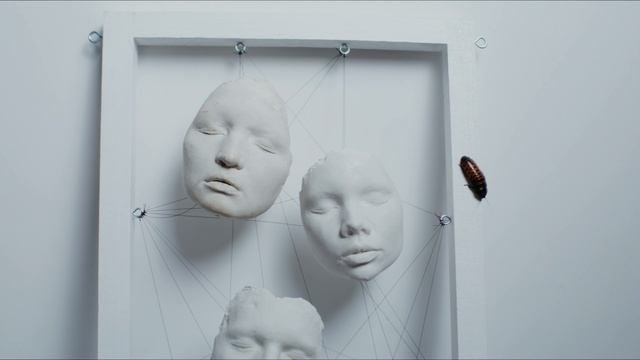 8458505-uhd_4096_2160_25fps