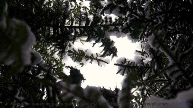 Что скрывает эта гармония Ответ изменит вас! - All Behind Me -- Greg Atkinson -- All Behind Me