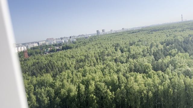 квартира видео с балкона