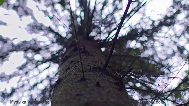 Музыка врывается в сердце как шторм чувств - Space Dust -- Kirk Osamayo -- Season Two (YELLOW)