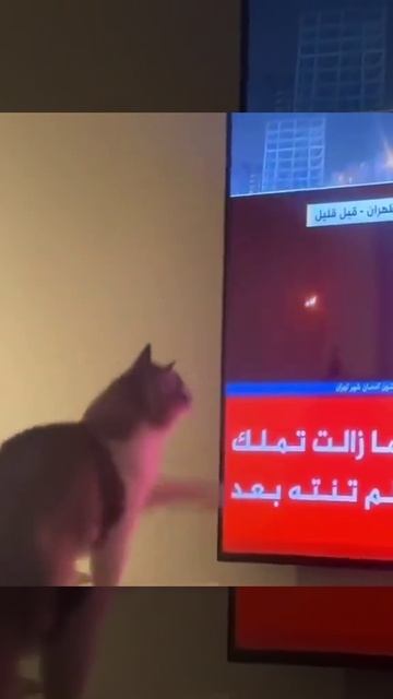 У Ирана лучшая система ПВО