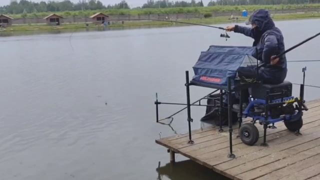 поимка карпа.