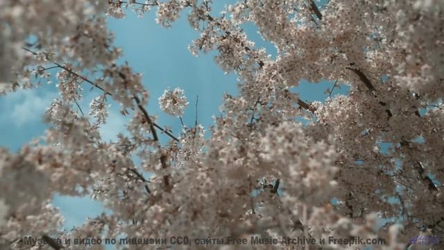 Кадры разлетаются искрами под такой мощный ритм - Since Seventeen -- Derek Clegg -- The Middler