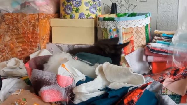 Маленький помощник: котенок в мире лоскутного шитья! 🐱✂️