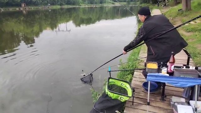 Карпевич