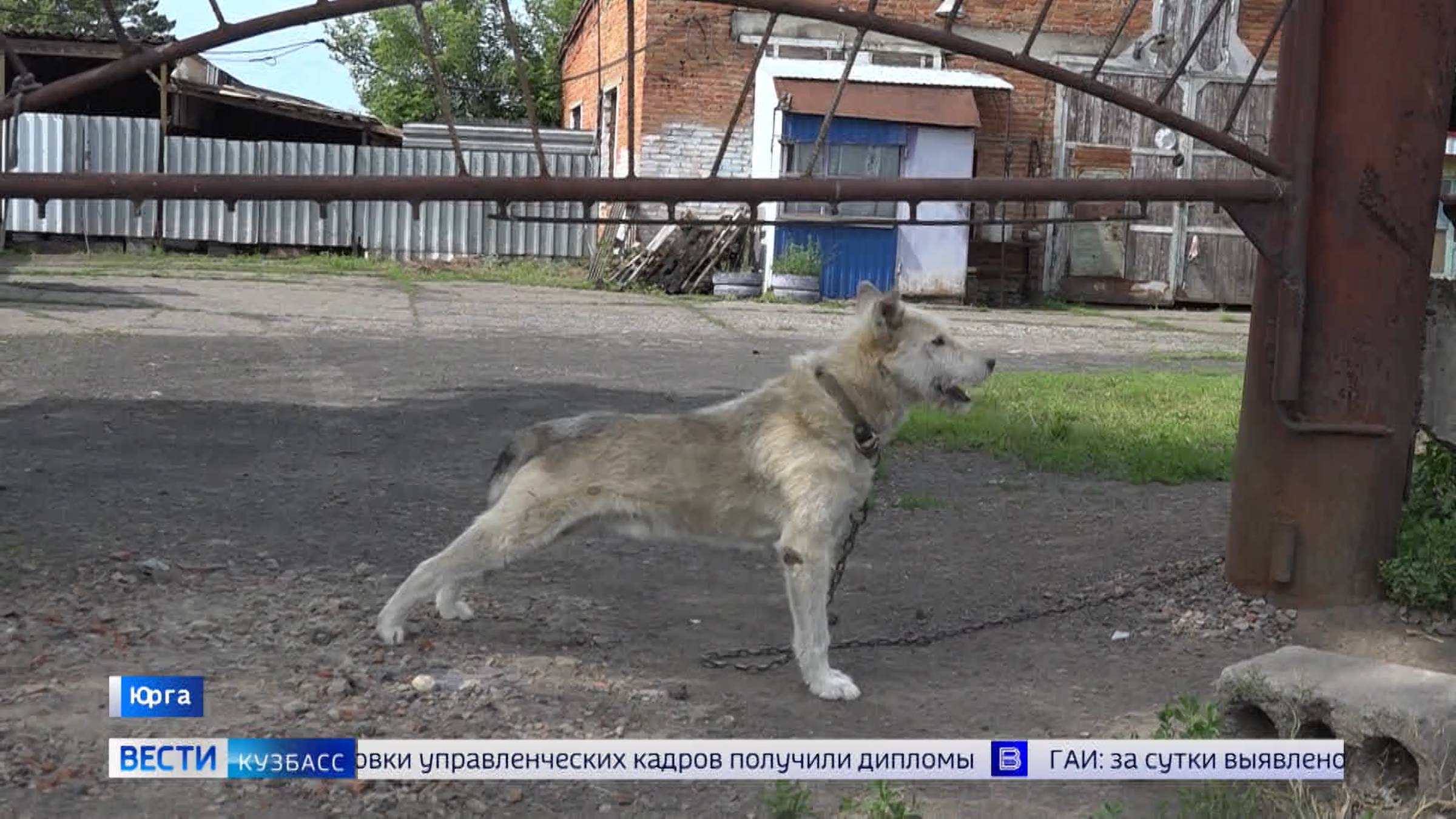 Мутные реки, пластиковые берега: в Юрге появилась свалка в опасной близости от Томи