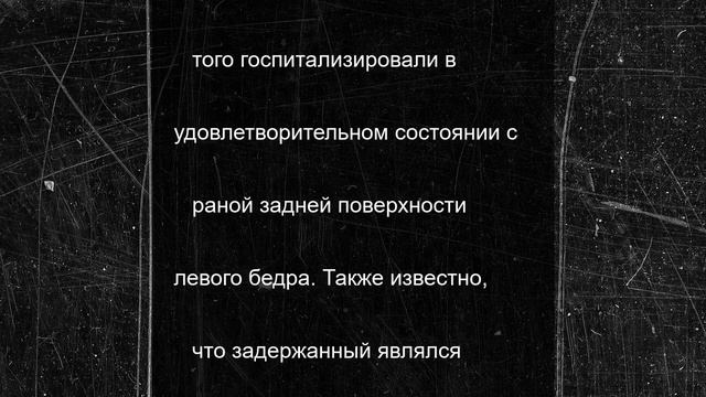 В Гатчине местный житель подстрелил петербуржца