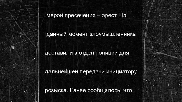 Находящийся в розыске мигрант был пойман в Петербурге за мошенничество