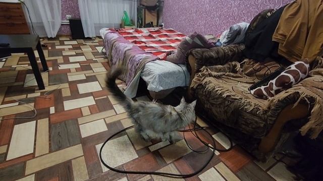 Игры вечером