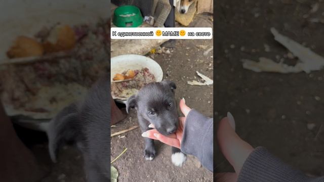 Элени - самая милая девочка в которую вы влюбитесь!