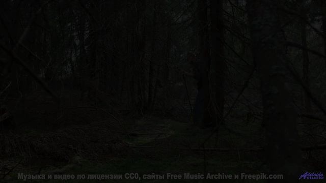 Хочется бежать по полям под этот невероятный саунд - Old Time Brutes -- Plates Of Cake -- Live at WF