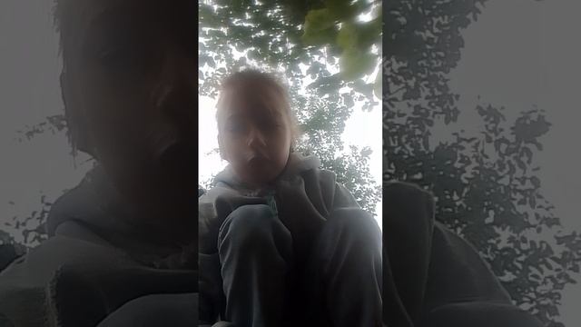 зайки на лужайке 🤪