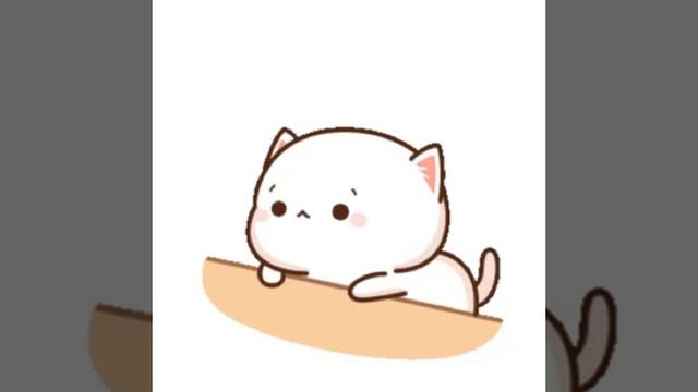котик устал