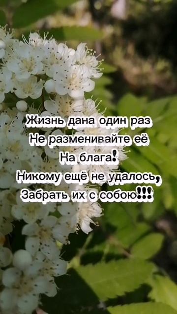 Любите все, Любите всех, Ведь вы не бесконечны, Уйде также как и все, Безмолвно и беспечно! #shorts