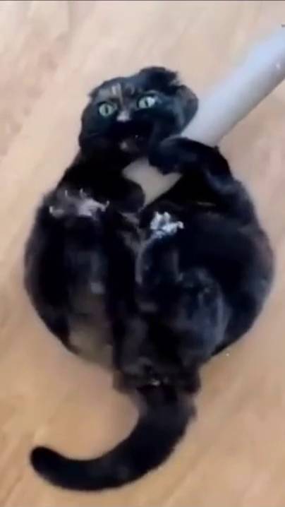 Обнимашки