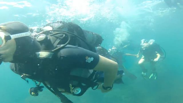 Дайвинг в Коктебеле 2014   Divingtime.net