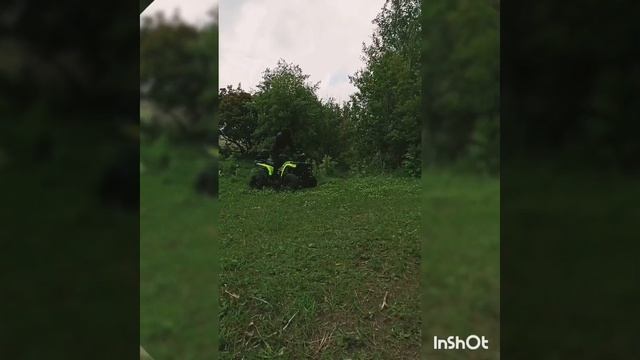 Покатушки на квадрике в лесу