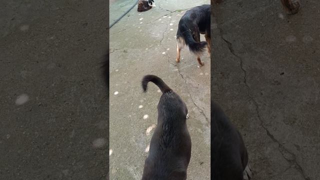 1000003884.mp4