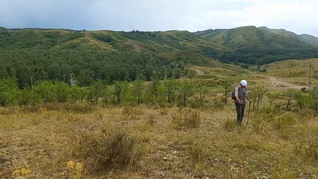 Прогулка в окрестностях Лесхоза