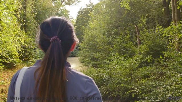 Леса становятся частью души вместе с этим треком - Asleep -- Frau Holle -- Different Ways
