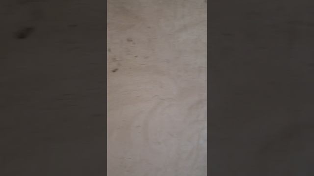 VID_20250622_172620_904