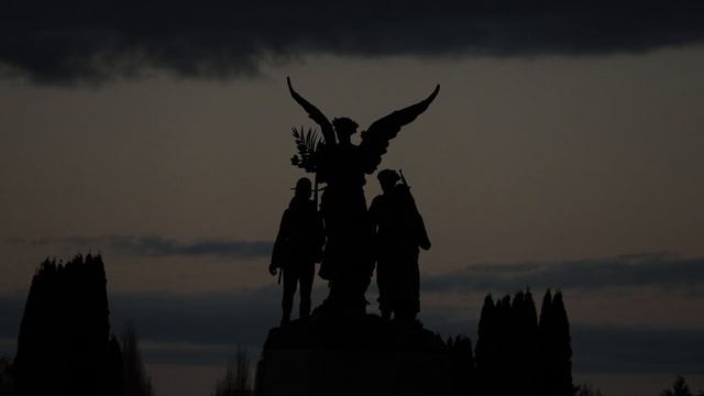 8148654-hd_1920_1080_30fps