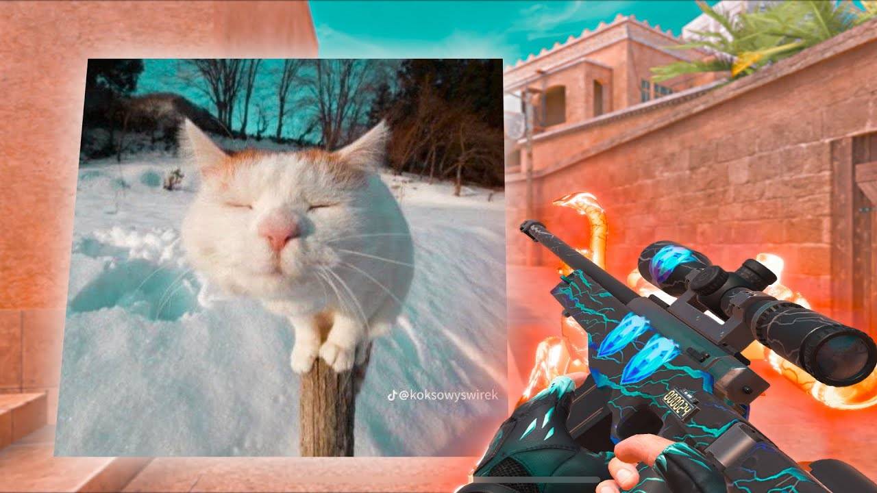 мувик стандофф2