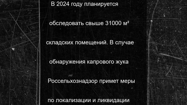 Россельхознадзор поборется с капровым жуком на складах Мурманской области